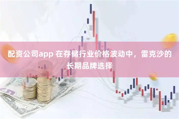 配资公司app 在存储行业价格波动中，雷克沙的长期品牌选择