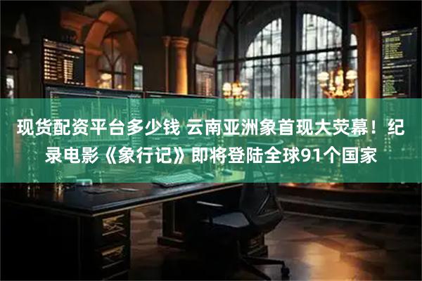现货配资平台多少钱 云南亚洲象首现大荧幕！纪录电影《象行记》即将登陆全球91个国家